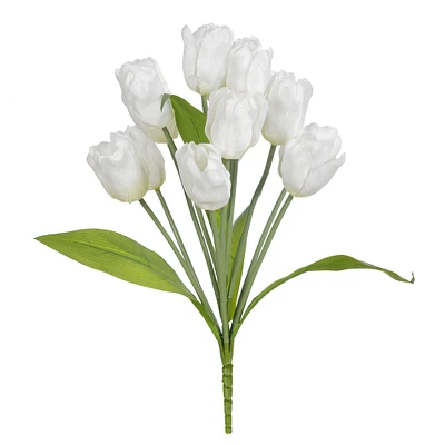 White Tulip Bush by Ashland®