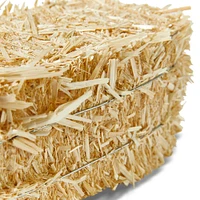 12 Pack: 5" Decorative Straw Bale by Ashland®