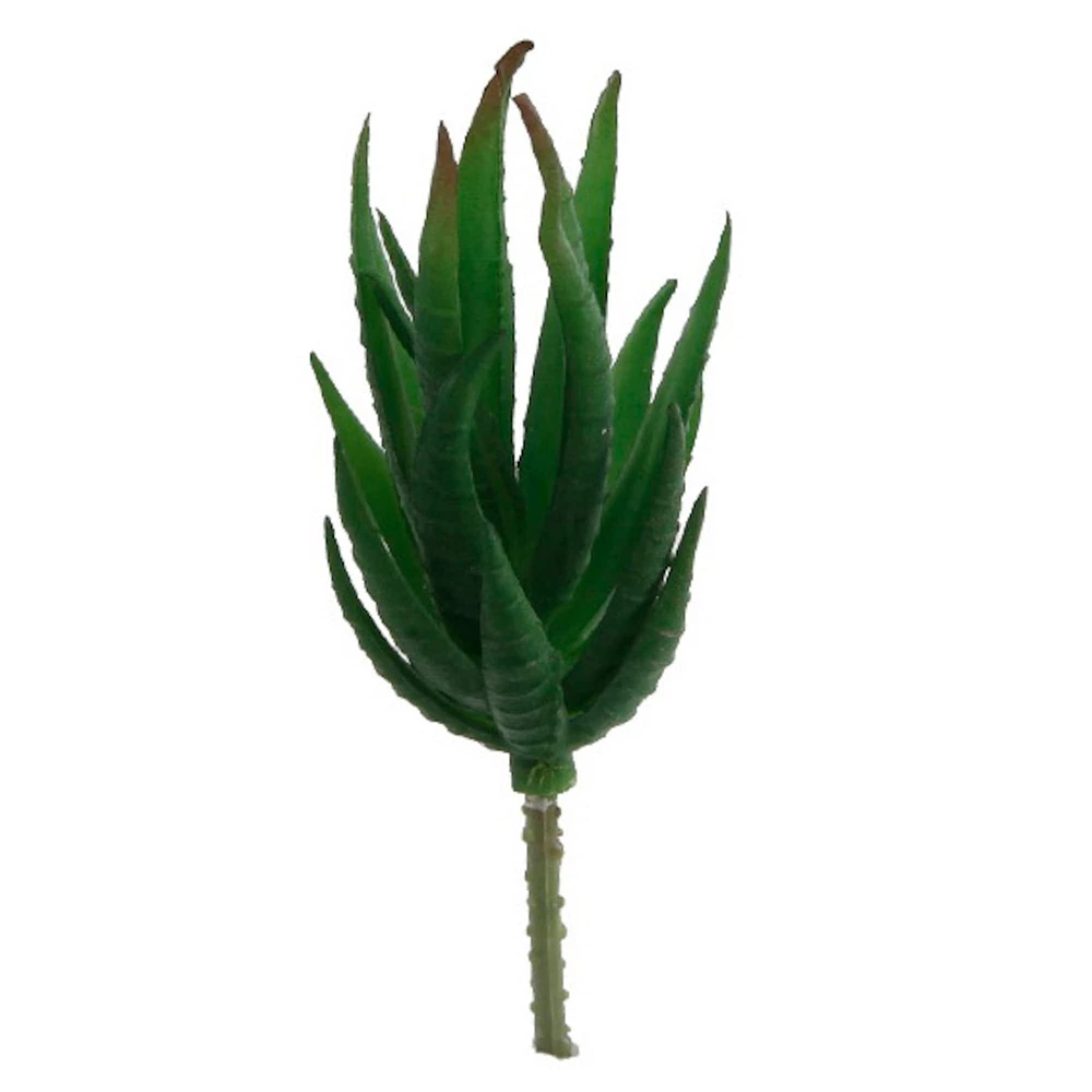 Flora Bunda® Aloe Zebra Succulent Pick, 12ct.