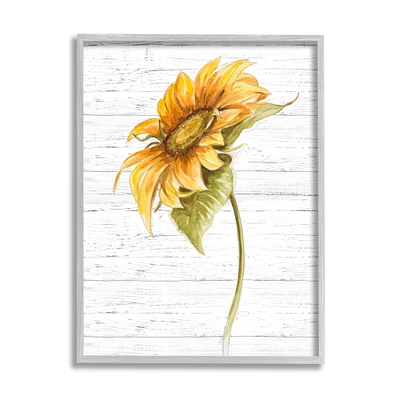 Stupell Industries Blooming Garden Sunflower Yellow Floral Country Pattern in Gray Frame Wall Art