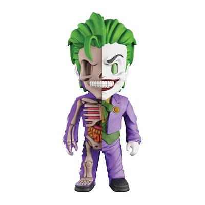 4D™ XXRAY DC Justice League Joker Model