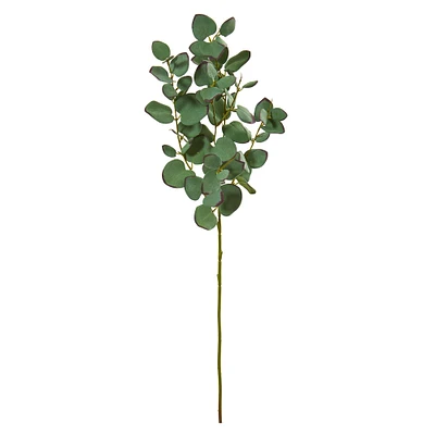 Green Eucalyptus Branch, 6ct.