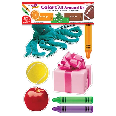 Trend Enterprises® Colors All Around Us Wipe Off Learning Set