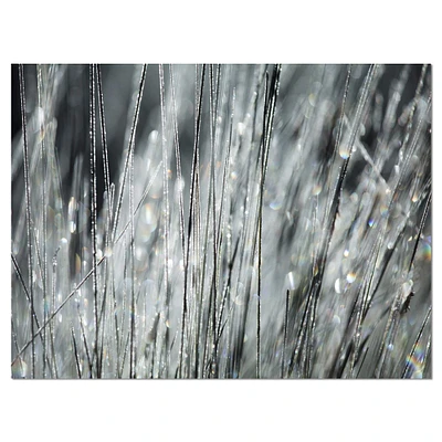 Designart - Raindrops on Grass Black White