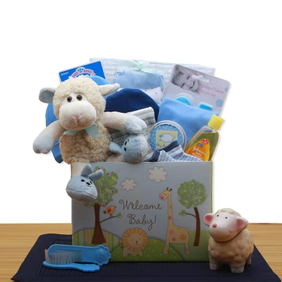 Welcome New Baby Boy Gift Box