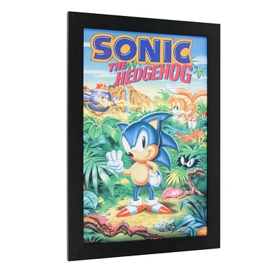 Sonic the Hedgehog™ Vintage Video Game Framed Wall Art