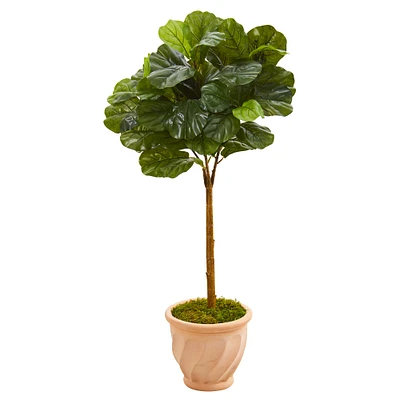 3.5ft. Fiddle Leaf Tree in Terracotta Planter