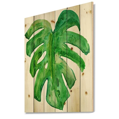 Designart - Tropical Leaf Of Monstera I