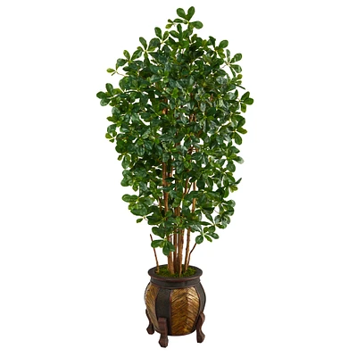 5.5ft. Black Olive Tree with in Decorative Planter