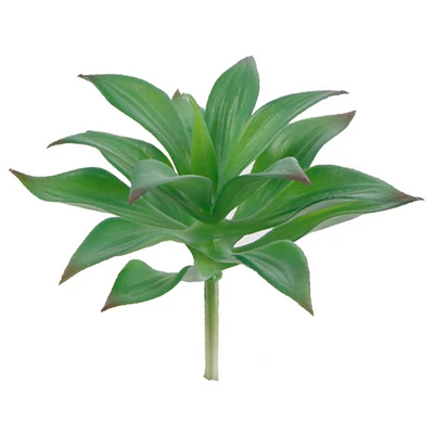 Flora Bunda® Aloe Blizzard Succulent Pick, 6ct.
