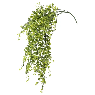 Green Hanging Smilax Bush by Ashland®