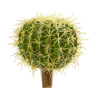 8" Cactus Succulent Plant, 4ct.