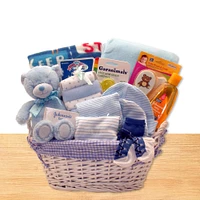 Simply Baby Blue Necessities Basket