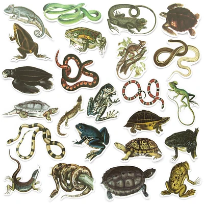 Reptiles Die Cut Stickers by Recollections™