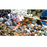 Learning Advantage™ Ready 2 Learn® Naturals Stones and Minerals Kit