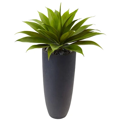 3ft. Agave Plant in Gray Cylinder Planter