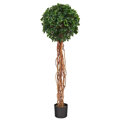 4.5ft. Potted English Ivy Ball Topiary Tree