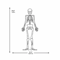 RoomMates Glow In The Dark Skeleton Peel & Stick Giant Decals