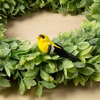 Finch Bird by Ashland®