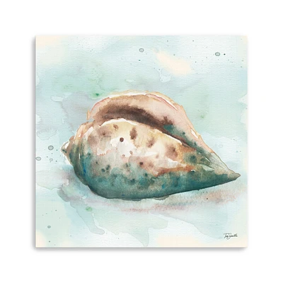 Watercolor Shells I Canvas Giclee