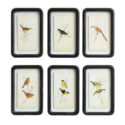 Bird Art Framed Wall Décor Set