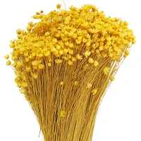 Yellow Campo Flowers Decorative Naturals by Ashland®