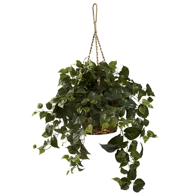 24" Philo in Hanging Basket