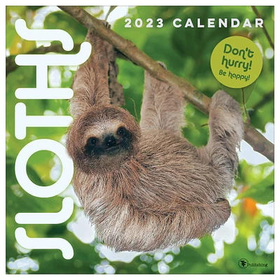 TF Publishing 2023 Sloths Wall Calendar