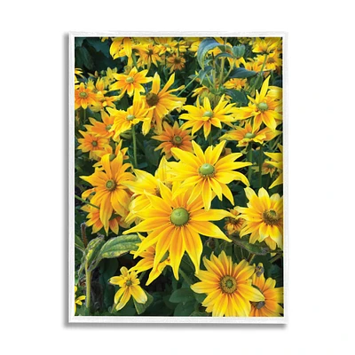 Stupell Industries Sunflower Field Blooming Green Bulbs Yellow Petals in White Frame Wall Art