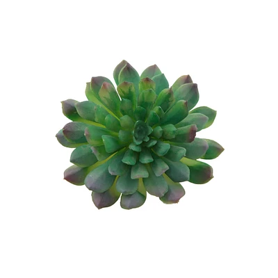 Flora Bunda® Succulent Pick, 6ct.