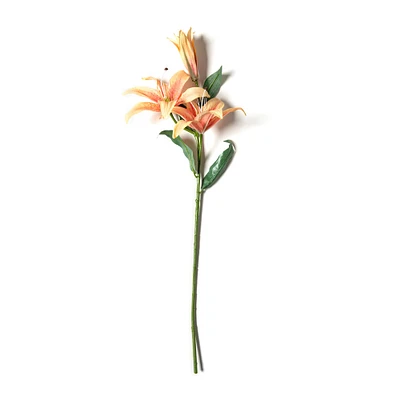 Casablanca Lily Stem by Ashland