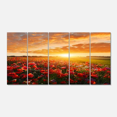 Designart - Beautiful Poppy Field at Sunset - Abstract Wall Art Canvas