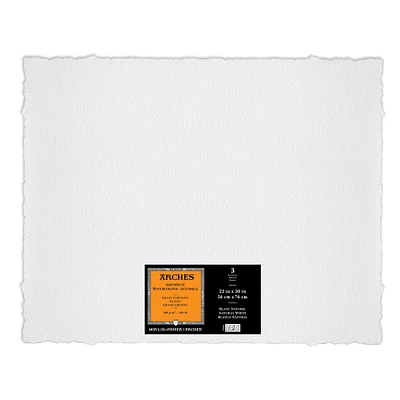 6 Packs: 3 ct. (18 total) Arches® Rough Watercolor Sheets, 22" x 30"