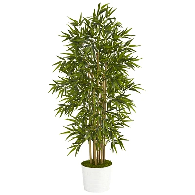 5.3ft. Bamboo Tree in White Tin Planter