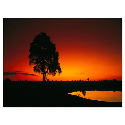 Designart - Sunset View in Tanzania - African Landscape Canvas Art Print