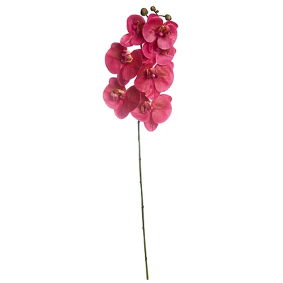 Dark Pink Orchid Stem by Ashland®