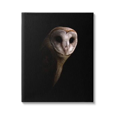 Stupell Industries Intense Barn Owl Black Shadow Photography Canvas Wall Art