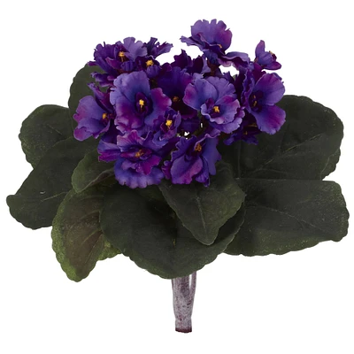 Purple African Violet Bush, 6ct.