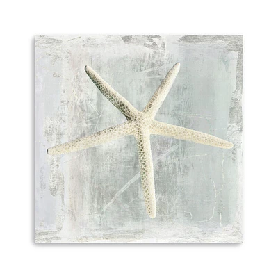 Starfish Canvas Giclee