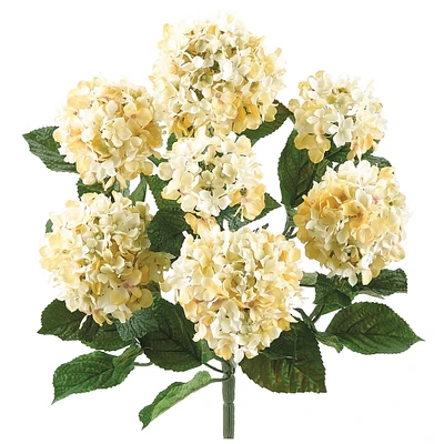 20" Hydrangea Bush, Cream
