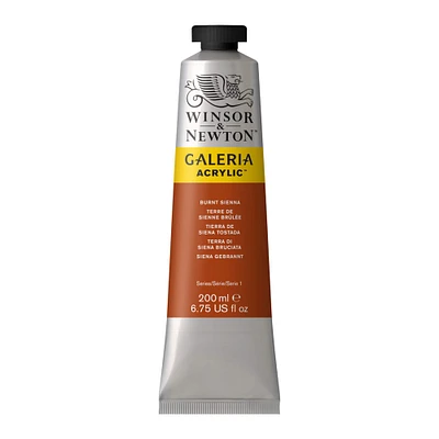 12 Pack: Winsor & Newton™ Galeria Acrylic™ Paint