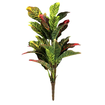 Croton Bush Classic Greenery by Ashland®