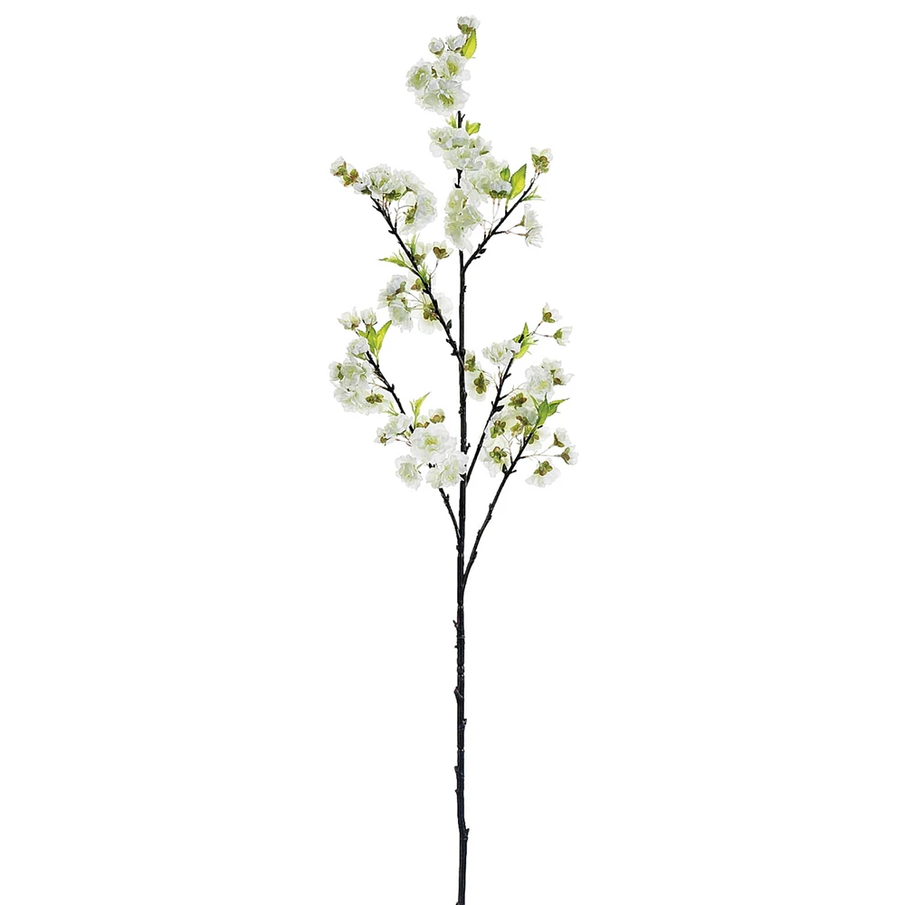 White Cherry Blossom Stem