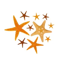 12 Pack: U.S. Shell Starfish Mix