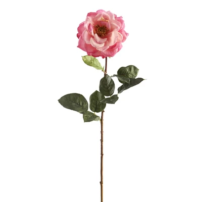 Garden Bloom Orlane Rose Stem Ashland