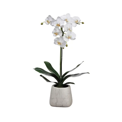 White Orchid in Faux Marble Pot