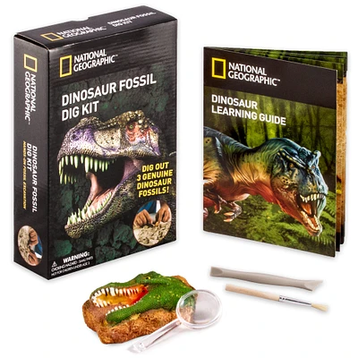 12 Pack: National Geographic™ Dinosaur Fossil Dig Kit