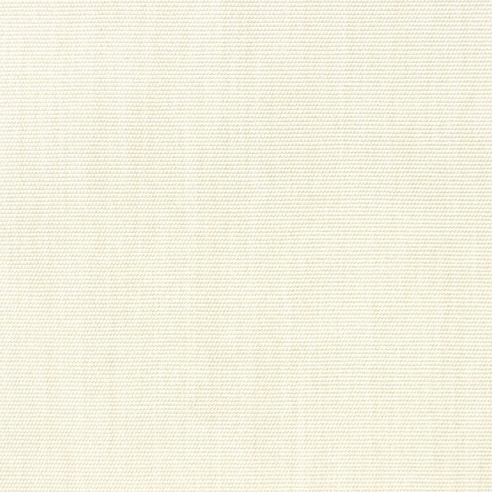 Canvas Vellum