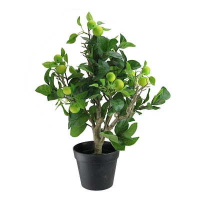 23" Potted Bonsai-Style Green Apple Tree