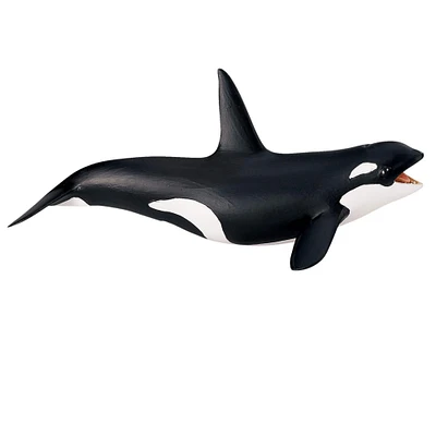 Safari Ltd® Killer Whale